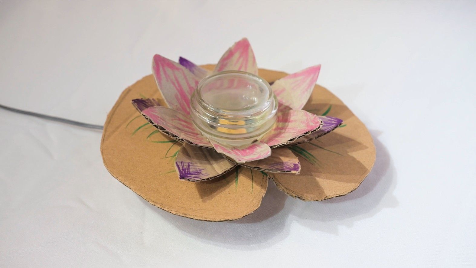 Charlotte Bartimote | Water Lily Wonders 2025