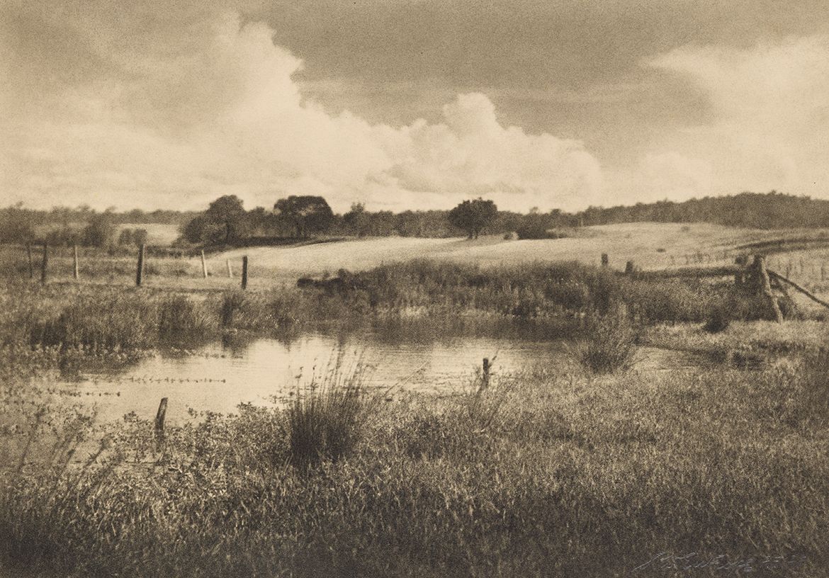 Stanley W Eutrope, Australia 1891–1983 / After summer rain c.1949 / Bromoil photograph on paper / 20.3 x 28.8cm (sight) / Purchased 1984 / Collection: Queensland Art Gallery | Gallery of Modern Art / © Stanley Eutrope Estate