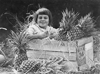Girl sitting in a crate of Queensland pineapples, 1924 | Reproduced courtesy: State Library of Queensland, Brisbane