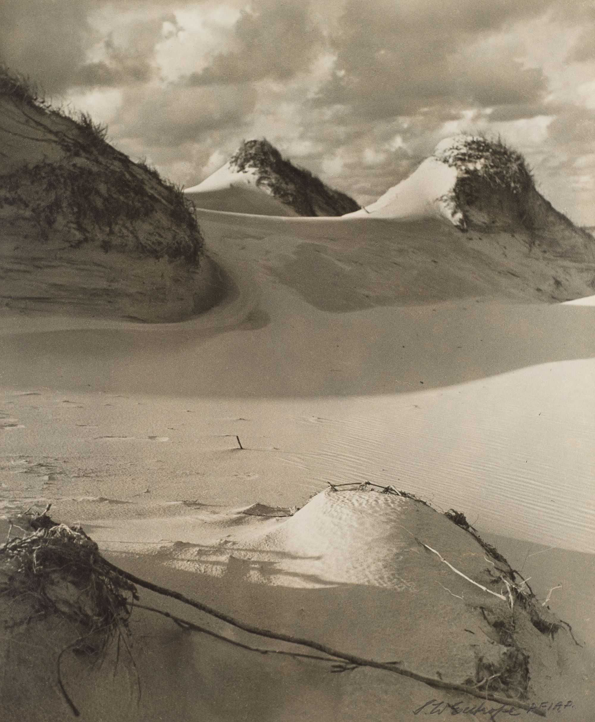 Stanley W Eutrope, Australia 1891–1983/ Late afternoon in the dunes (Point Lookout, Stradbroke Island) c.1943 / Gelatin silver photograph on paper / Purchased 1984 / Collection: Queensland Art Gallery | Gallery of Modern Art / © Stanley Eutrope Estate
