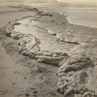 Rose Simmonds, Australia 1877–1960 / Seashore curves c.1930 / Gelatin silver photograph on paper / 29.7 x 29.5cm / Gift of Rosemary Goodchild and Margaret Andresen 1993 / Collection: Queensland Art Gallery | Gallery of Modern Art