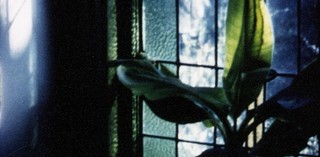 Production still from Articulated Image 1996 / Directors: Arthur and Corinne Cantrill / Image courtesy: National Film and Sound Archive, Canberra
