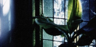 Production still from Articulated Image 1996 / Directors: Arthur and Corinne Cantrill / Image courtesy: National Film and Sound Archive, Canberra
