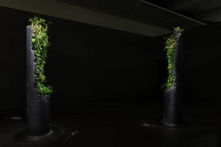Jamie North, Australia b.1971 / Installation view of Portal 2022, ‘Air’ GOMA 2022 / Cement, ash, slag, expanded clay, graphite, organic matter and plants native to Queensland / Two columns: 290.9 x 60cm (each), plus plants / Courtesy: Jamie North and The Renshaws, Brisbane / © Jamie North/Copyright Agency, 2022 / Photograph: M Campbell © QAGOMA