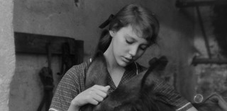 Production still from Au Hasard Balthazar 1966 / Director: Robert Bresson / Image courtesy: Janus Films