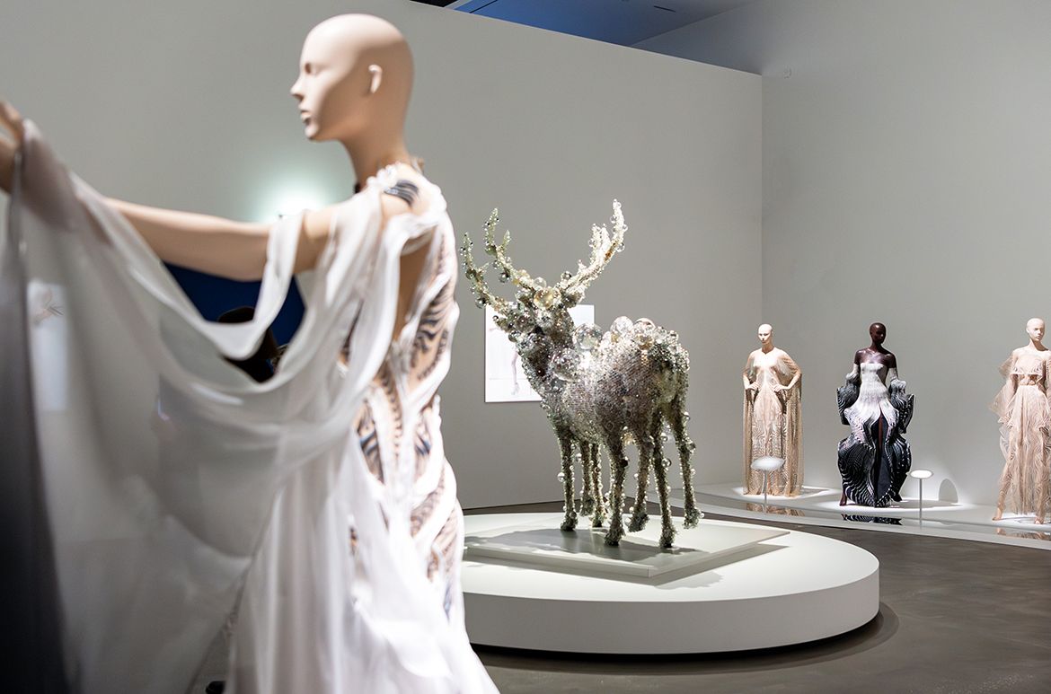 Installation view ‘Iris van Herpen: Sculpting the Senses’, GOMA 2024 / Photograph: C Callistemon © QAGOMA