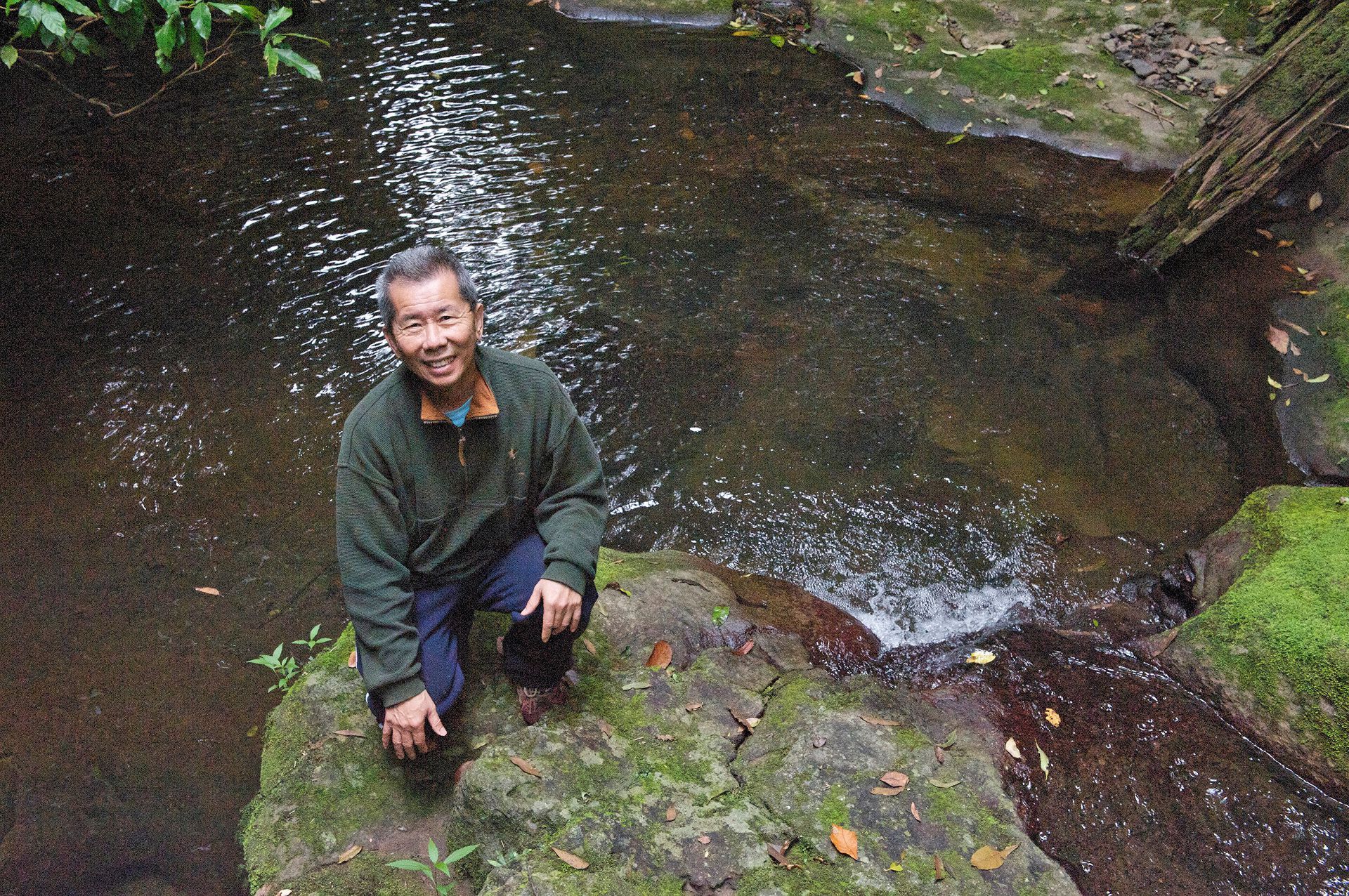 Image courtesy: William Yang