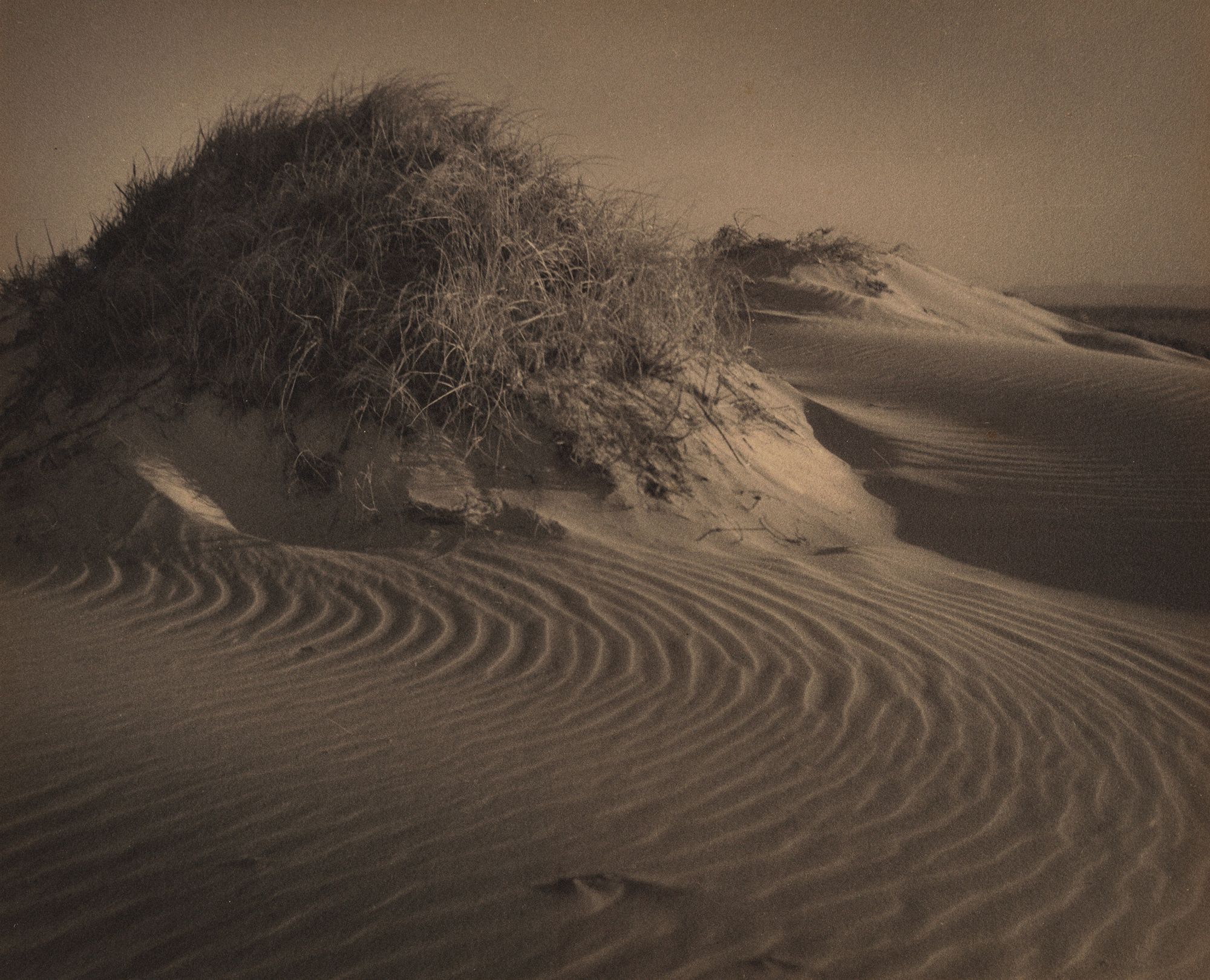Rose Simmonds, Australia 1877–1960 / Sandhills c.1930 / Gelatin silver photograph on paper / 24.1 x 29.8cm / Gift of Rosemary Goodchild and Margaret Andresen 1993 / Collection: Queensland Art Gallery | Gallery of Modern Art