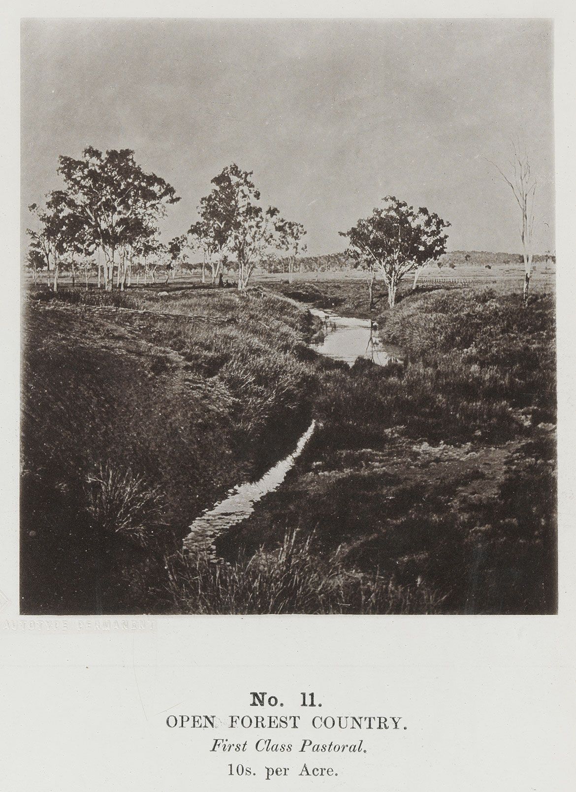 Richard Daintree, England/Australia 1832-78 / (Open volcanic plains) (no. 4 from ‘Images of Queensland’ series) c.1870 / Autotype on paper / 11.3 x 10.3cm / Purchased 2009 with funds raised through the QAG Foundation 30th Anniversary Appeal / Collection: Queensland Art Gallery | Gallery of Modern Art