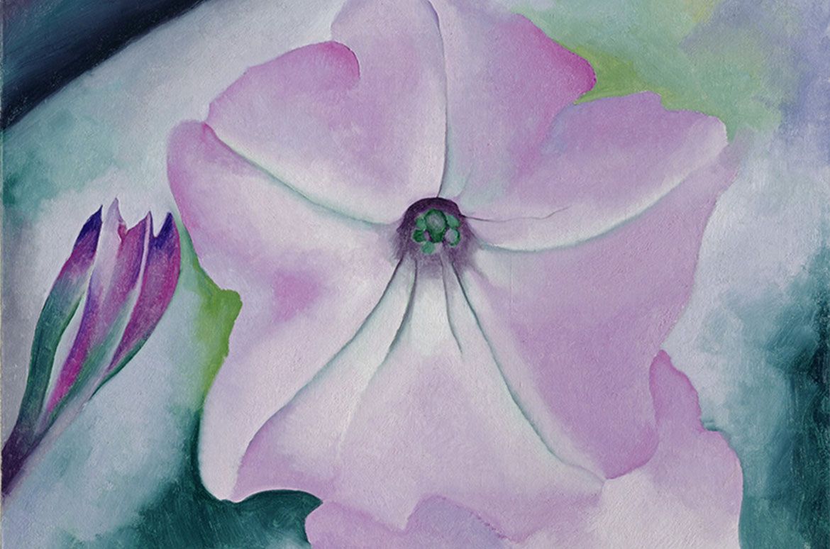Georgia O’Keeffe, USA 1887–1986 / Petunia No. 2 1924 / Oil on canvas / 91.4 x 76.2 cm / Gift of The Burnett Foundation and Gerald and Kathleen Peters / Collection: Georgia O’Keeffe Museum / © Georgia O’Keeffe Museum