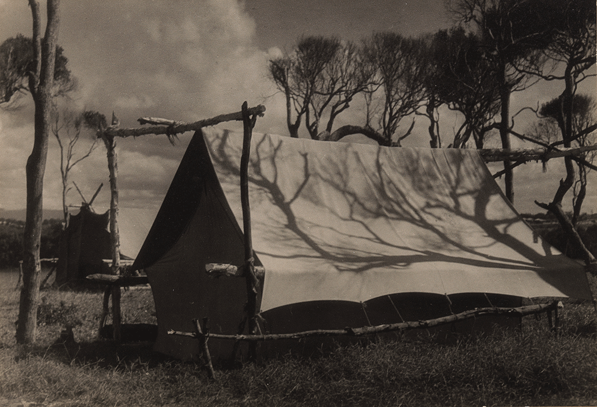 Rose Simmonds, Australia 1877-1960 / Shadow on the tent c.1940 / Gelatin silver photograph on paper / 19.6 x 28.4cm (comp.) / Gift of Dr J H Simmonds 1982 / Collection: Queensland Art Gallery | Gallery of Modern Art