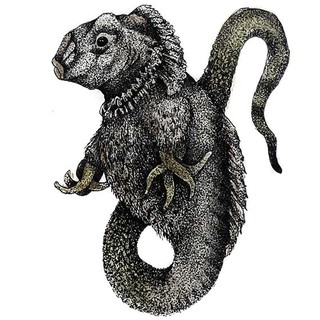 Real and Imaginary Mutants: Indian Ink and mutant protein drawing