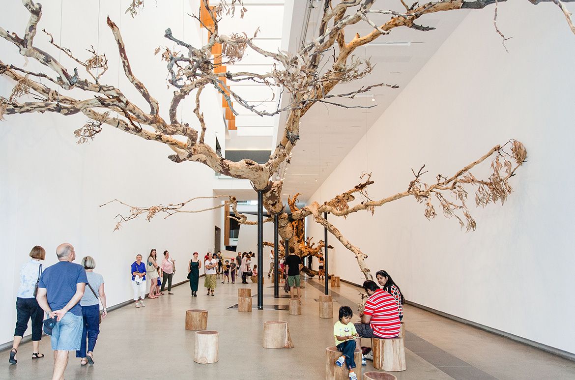 Installation view Eucalyptus 2013, ‘Cai Guo-Qiang: Falling Back to Earth’, Gallery of Modern Art, Brisbane / © Cai Guo-Qiang / Photograph: K Bennett © QAGOMA