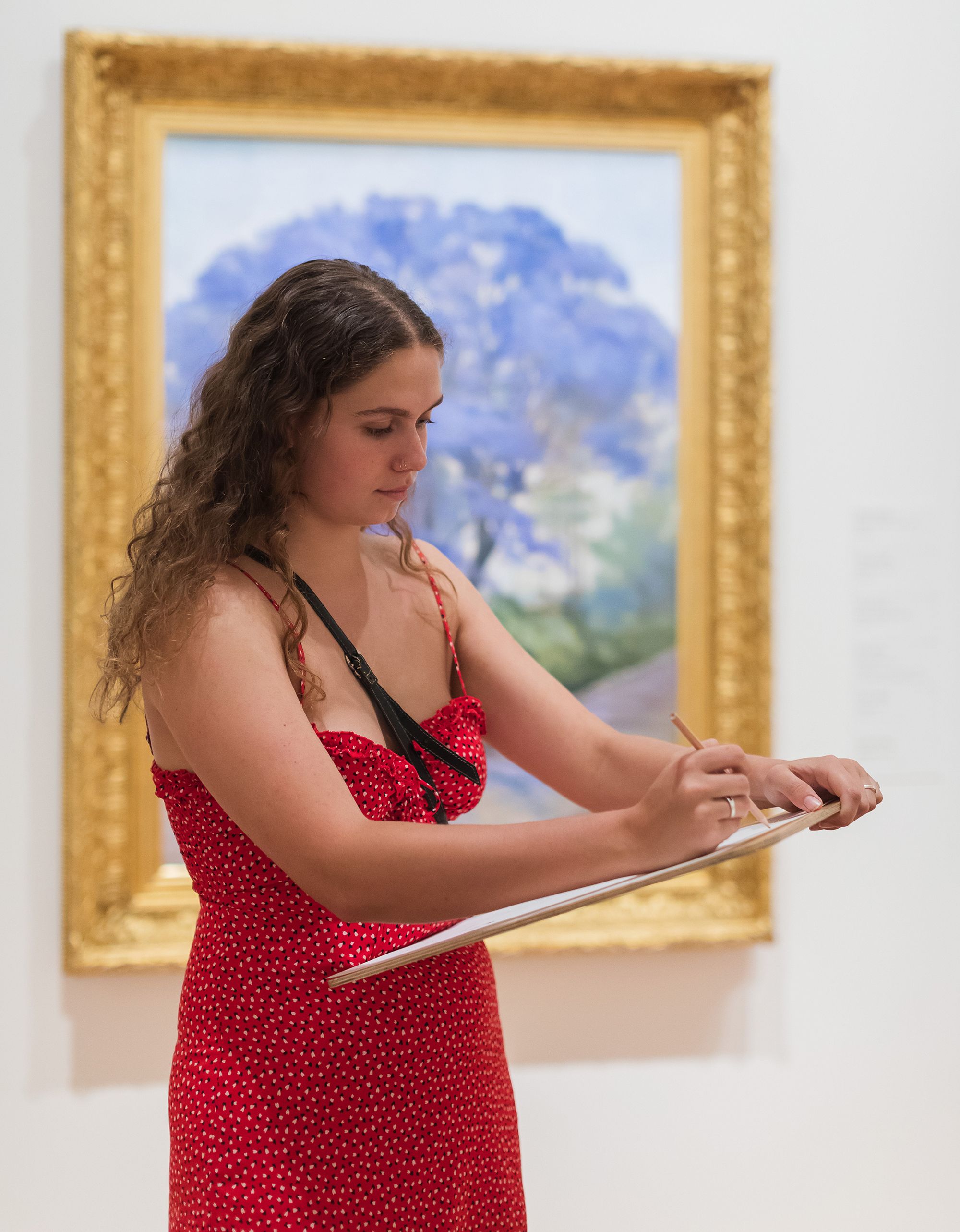Drawing from the Australian Art Collection featuring Under the jacaranda by R Godfrey Rivers / Photograph: K Bennett © QAGOMA