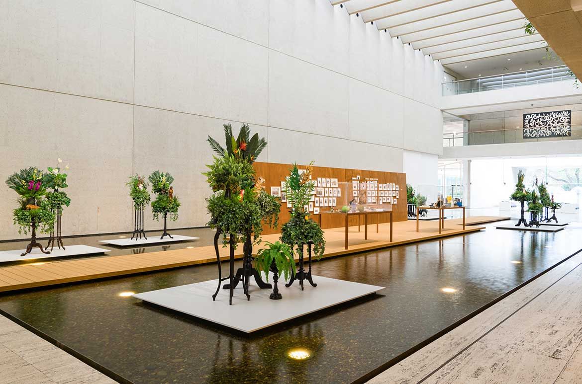 Donna Ong and Robert Zhao Renhui, Singapore b.1978 and 1983 / My forest is not your garden 2015–18, installed at GOMA 2018 / Mixed media installation / © The artists / Courtesy: The artists, FOST Gallery and ShanghART Gallery
