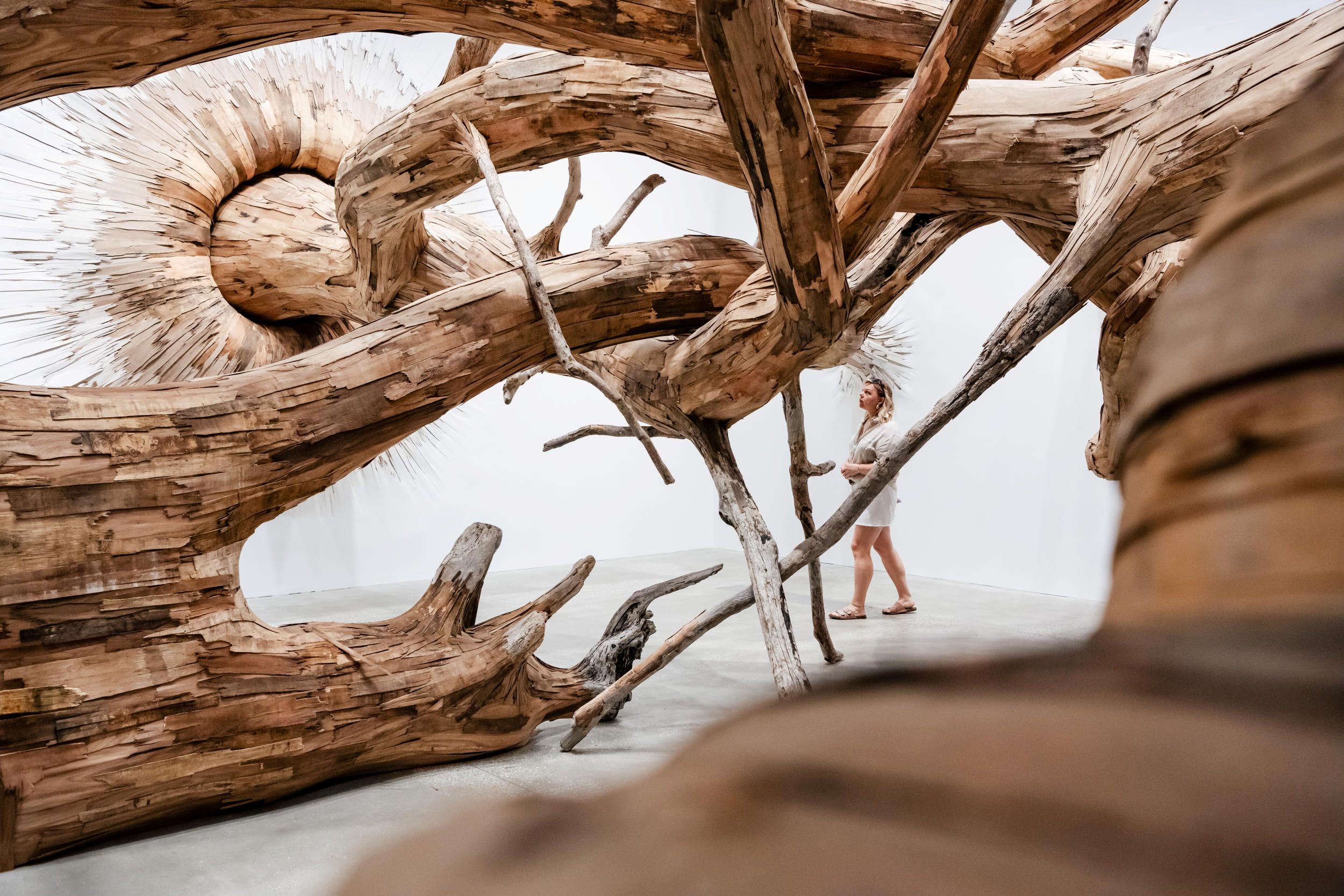 Henrique Oliveira, Brazil b.1973 / Corupira (details) 2023, commissioned for ‘Fairy Tales’, Gallery of Modern Art (GOMA) Brisbane 2023 / Plywood, tapumes veneer and tree branches / Courtesy: Henrique Oliveira / © Henrique Oliveira / Photographs: C Callistemon © QAGOMA 