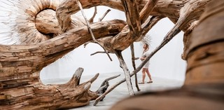Henrique Oliveira, Brazil b.1973 / Corupira (details) 2023, commissioned for ‘Fairy Tales’, Gallery of Modern Art (GOMA) Brisbane 2023 / Plywood, tapumes veneer and tree branches / Courtesy: Henrique Oliveira / © Henrique Oliveira / Photographs: C Callistemon © QAGOMA 
