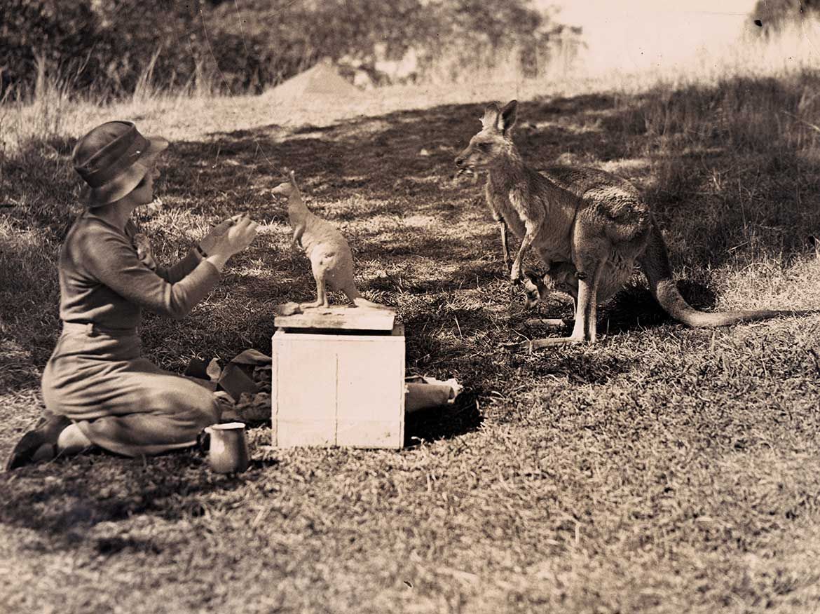 Daphne Mayo modelling a kangaroo at Lone Pine Sanctuary, 1935 / UQ:687212 / Courtesy: Fryer Library, University of Queensland