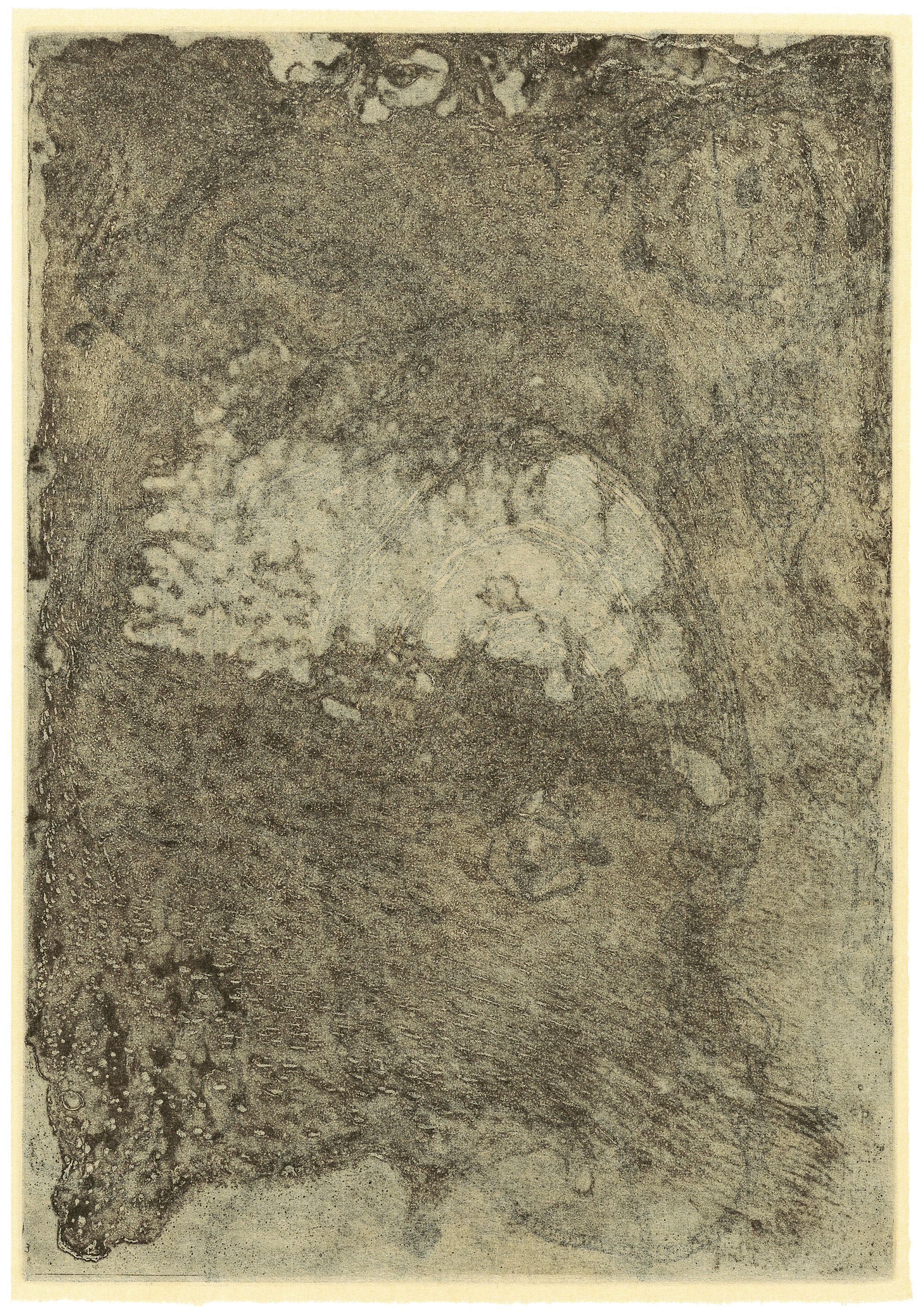 Judy Watson / Waanyi people / Australia b.1959 / our skin in your collections 1997 / Etching with chine collé on paper / 30.7 x 28cm / Purchased 2003.The Queensland Government's special Centenary Fund / Collection: Queensland Art Gallery | Gallery of Modern Art