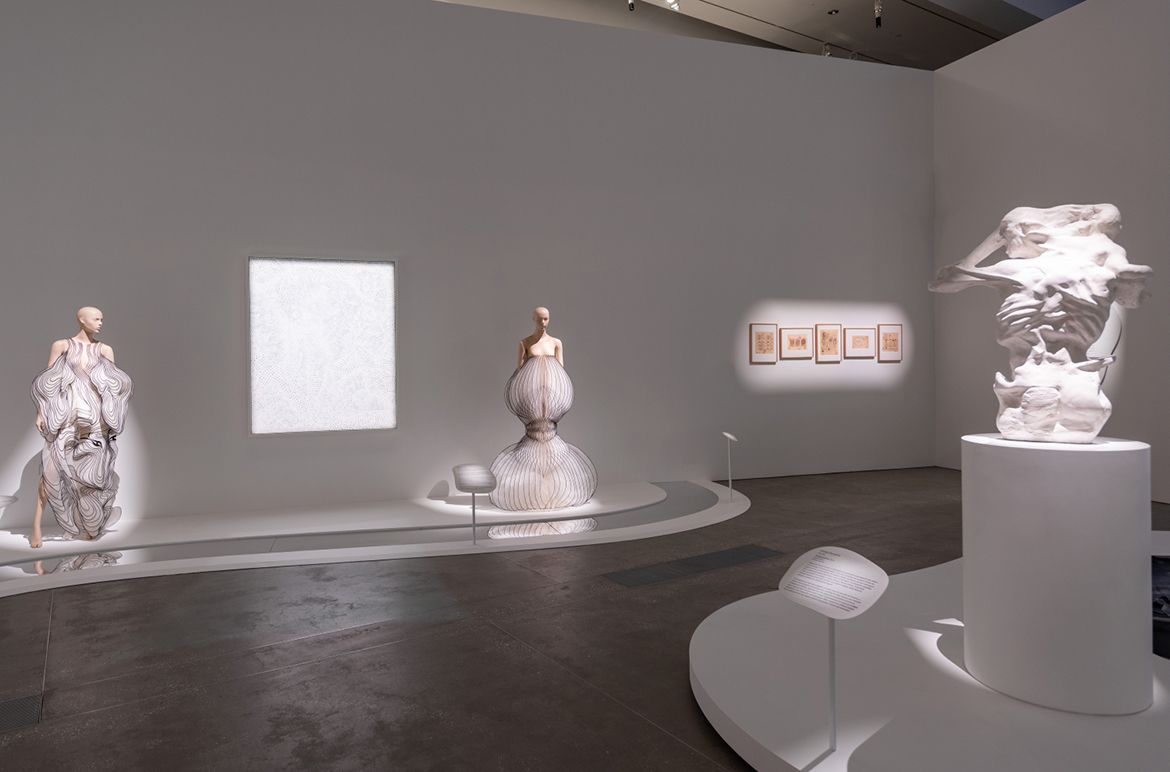 ‘Iris van Herpen: Sculpting the Senses’, GOMA 2024 (L to R) Yayoi Kusama’s Infinity nets 2000 / Santiago Ramón y Cajal’s Comunicaciones sensitivo-motrices de la médula espinal, según Golgi (Sensory-motor communications of the spinal cord, according to Golgi) 1917; Las placas seniles de la corteza cerebral de un viejo atacado de demencia (The senile plaques of the cerebral cortex of an old man suffering from dementia) 1918; Neuroglia de la capa de las pirámides y estrato radiado del asta de Ammon (Neuroglia of the layer of the pyramids and stratum radiatum of Ammon’s horn) 1913; Esquema de la estructura y conexiones del asta de Ammon (Diagram of the structure and connections of the Ammon horn) 1904; Corte de la retina (Retinal cut) 1913; Collection: Instituto Cajal (CSIC), Madrid / Enrico Ferrarini’s R-Evoluzione 2014; Courtesy: Enrico Ferrarini