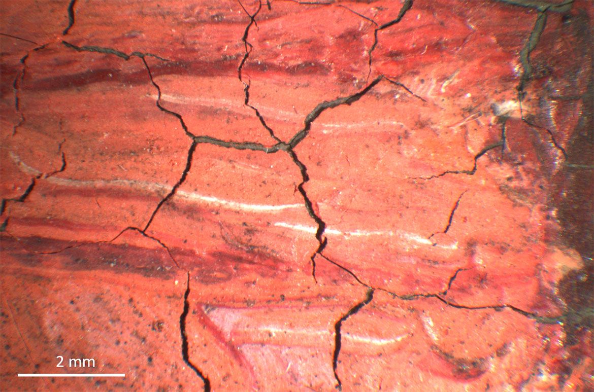 Under the jacaranda 1903 / Detail of paint cracking in parasol / 18 x magnification / Photograph: Gillian Osmond