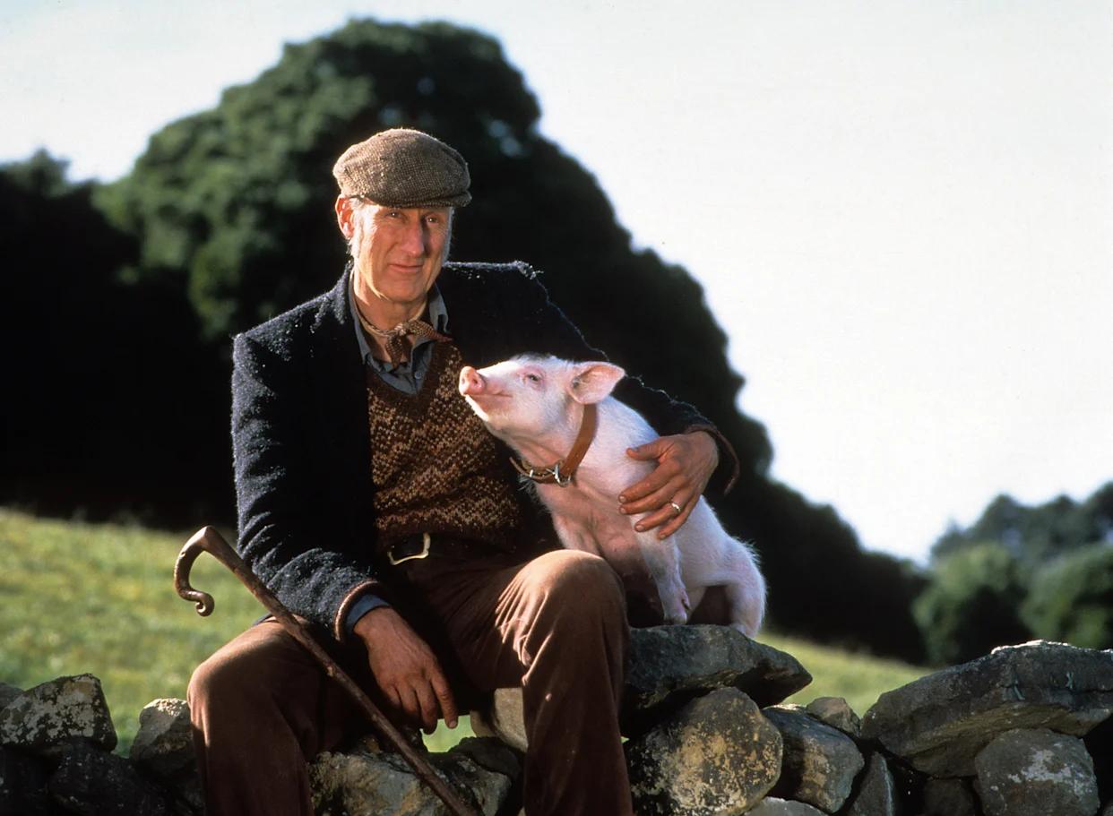 Production still from Babe 1995 / Director: Chris Noonan / Image courtesy: Universal Pictures Australia