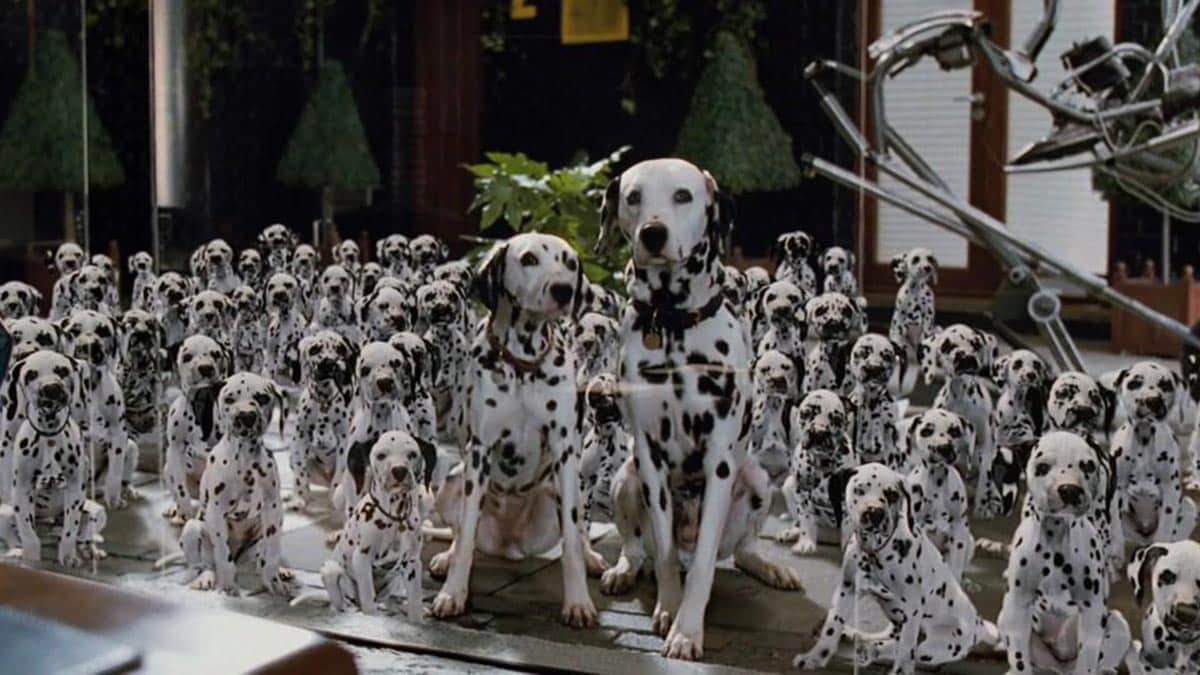 Production still from 101 Dalmatians 1996 / Director: Stephen Herek / Image courtesy: The Walt Disney Company (Australia)