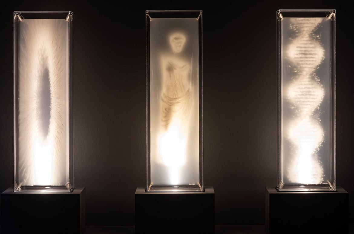 David Spriggs, Canada b.1978 / Origins 2018 installed in ‘Iris van Herpen: Sculpting the Senses’, GOMA 2024 / PET film, acrylic plexiglas, LED, acrylic paint, metal / Collection: Dr Pierre Miron / © David Spriggs / Photograph: N Umek © QAGOMA
