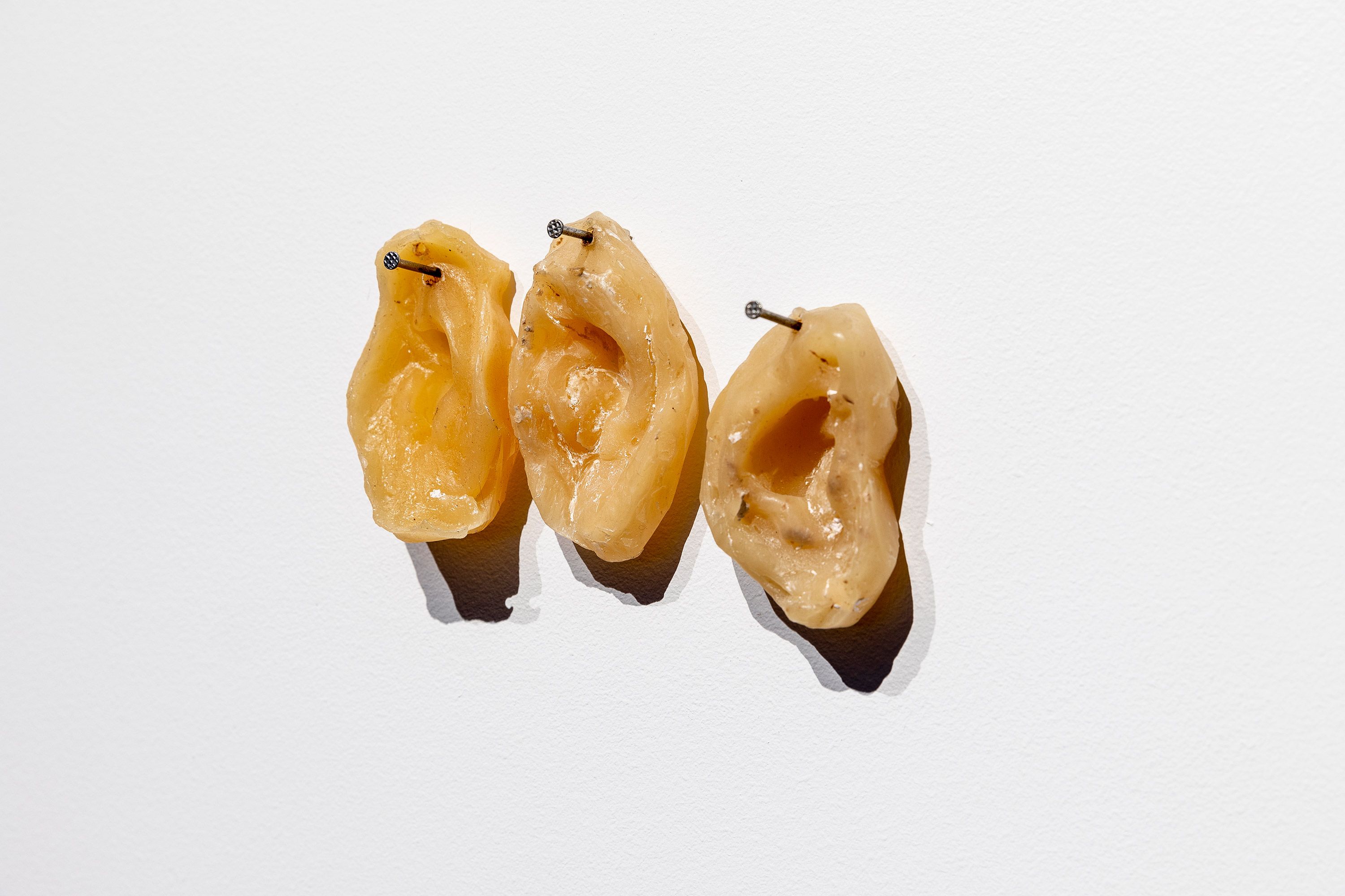 Judy Watson / Waanyi people / Australia b.1959 / 40 pairs of blackfellows’ ears, lawn hill station (detail) 2008 / Wax and nails / Dimensions variable / Courtesy: The artist and Milani Gallery, Brisbane (Meeanjin/Magandjin) / Image courtesy: MADA Gallery, Melbourne / Photograph: Andrew Curtis