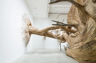 Henrique Oliveira, Brazil b.1973 / Corupira (detail) 2023, commissioned for ‘Fairy Tales’, Gallery of Modern Art (GOMA) Brisbane 2023 / Plywood, tapumes veneer and tree branches / © Henrique Oliveira / Photographs: C Callistemon © QAGOMA