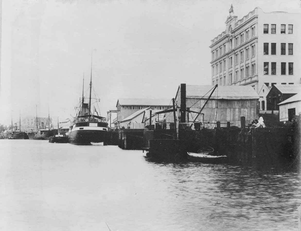 Eagle Street Wharves (Australasian United Steam Navigation Company (AUSN) Wharf; Thomas Browns & Sons Building), Brisbane, c.1898 / Courtesy: John Oxley Library, State Library of Queensland, Brisbane