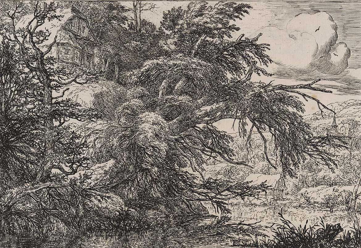 Jacob van Ruisdael, The Netherlands 1628 or 1629-82 / Cottage on the summit of a tree covered hill c.1649 / Etching on paper / 21.8 x 30cm / 18.6 x 27.1cm (comp.) / Purchased 1976 / Collection: Queensland Art Gallery | Gallery of Modern Art