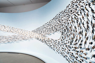 Jonathan Jones, Artist, Kamilaroi/Wiradjuri people, Australia b.1978; Dr Uncle Stan Grant Sr AM, Cultural advisor and speaker of recorded Wiradjuri, Wiradjuri people, Australia b.1940 / Installation view of untitled (giran) 2018 / Bindu-gaany (freshwater mussel shell), gabudha (rush), gawurra (feathers), marrung dinawan (emu egg), walung (stone), wambuwung dhabal (kangaroo bone), wayu (string), wiiny (wood) on wire pins, 48-channel soundscape, eucalyptus oil / 1742 pieces (comprising 291 Bindu-gaany; 290 Galigal; 292 Bagaay; 291 Dhalany; 280 Bingal; 298 Waybarra) / Purchased 2018 with funds from Tim Fairfax AC through the Queensland Art Gallery | Gallery of Modern Art Foundation / Collection: Queensland Art Gallery | Gallery of Modern Art / © Jonathan Jones