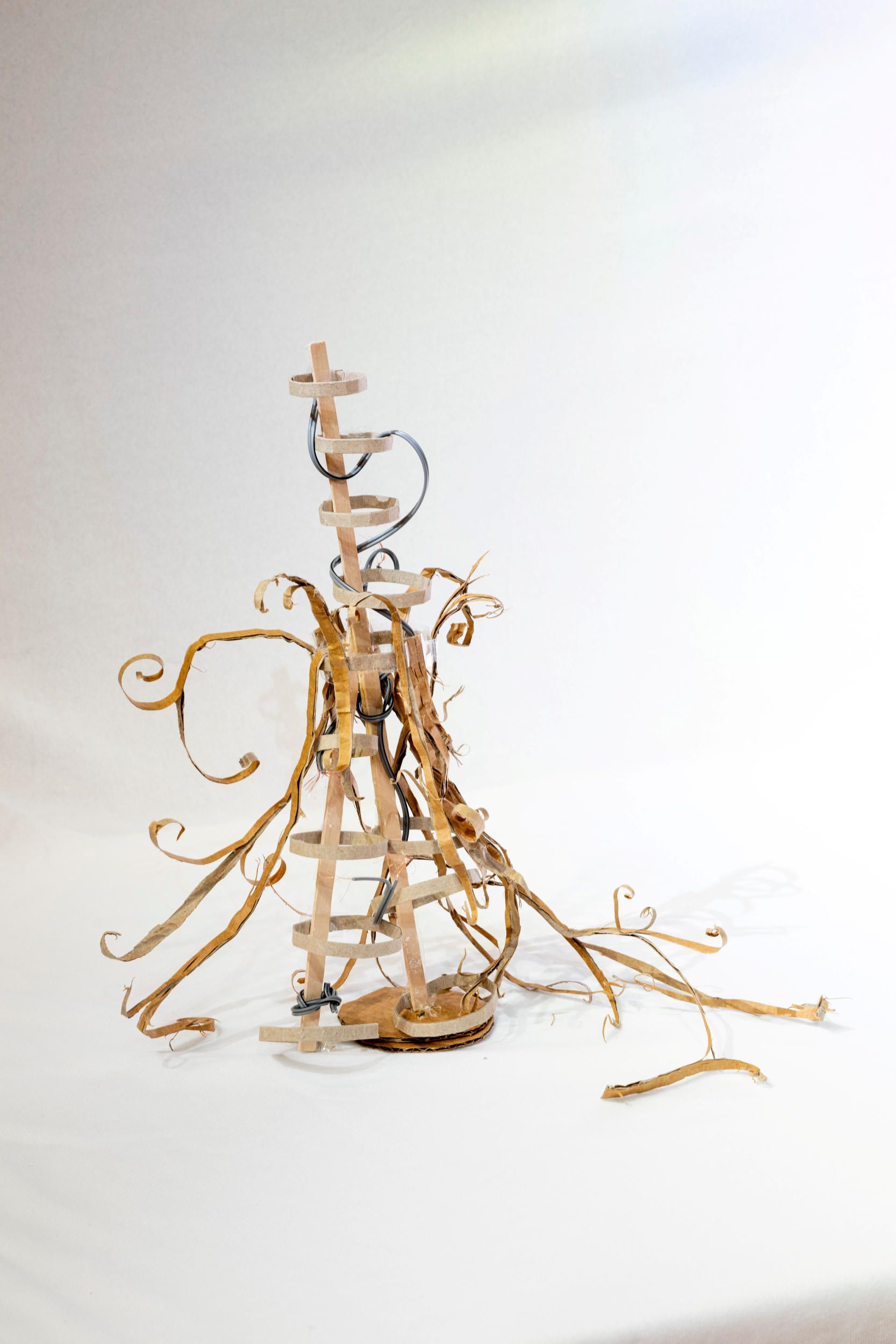 Holly Stalton | Feather wires 2025