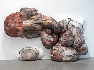 OLIVEIRA, Henrique Brazil b.1973 Xilonoma Chamusquius 2 2012 Burnt plywood and pigments 220 x 400 x 120cm (irreg.) Acc. 2012.348a-c Purchased 2012 with funds from Tim Fairfax, AM, through the Queensland Art Gallery Foundation