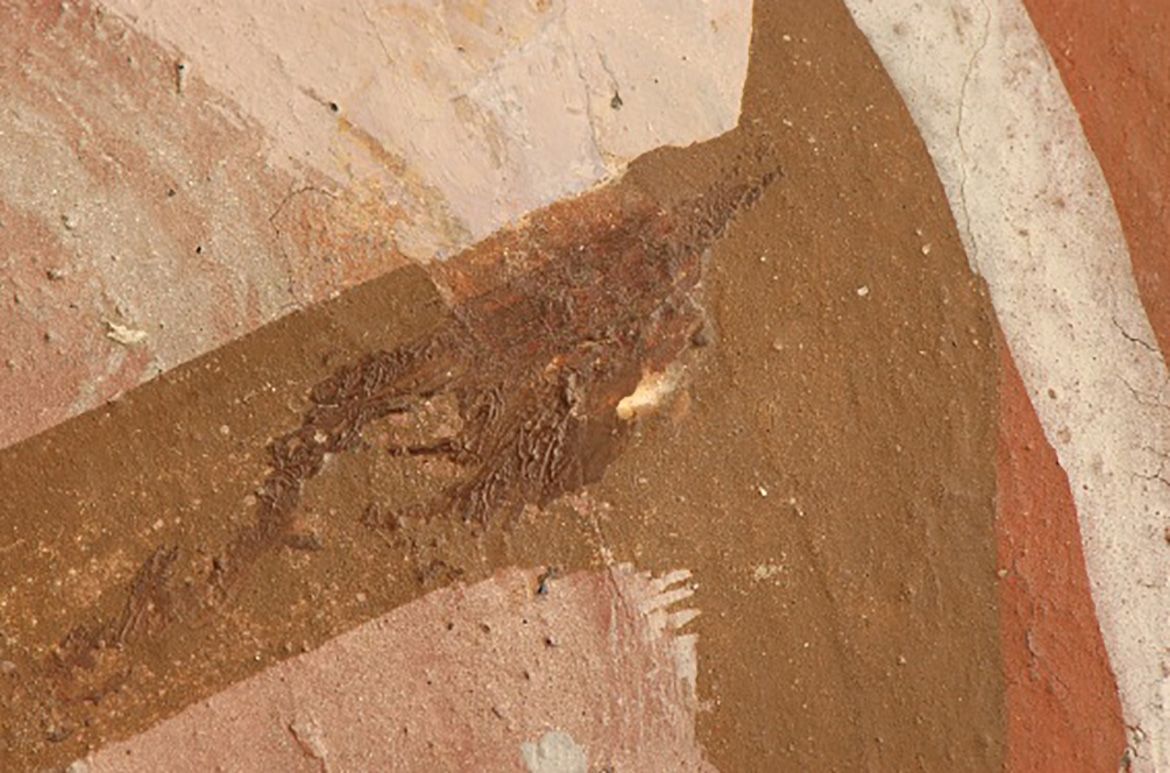 During the overpaint removal, the first image in this series shows the dark brown overpaint, the second the overpaint removed and the third the paper pulp fill and the beginning of inpainting using watercolour. The last image shows the loss after treatment.