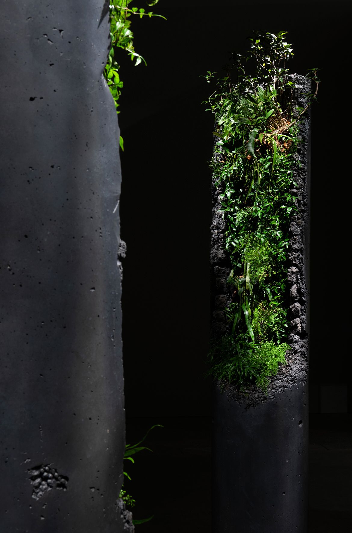 Jamie North, Australia b.1971 / Installation view of Portal 2022, ‘Air’ GOMA 2022 / Cement, ash, slag, expanded clay, graphite, organic matter and plants native to Queensland / Two columns: 290.9 x 60cm (each), plus plants / Courtesy: Jamie North and The Renshaws, Brisbane / © Jamie North/Copyright Agency, 2022 / Photograph: M Campbell © QAGOMA