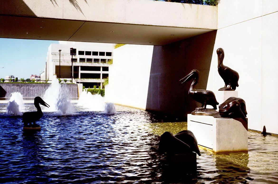 Leonard Shillam, Australia 1915–2005 and Kathleen Shillam, United Kingdom/Australia 1916–2002 / Pelicans / Collection: ArtsWorks Queensland / © Estate of Leonard and Kathleen Shillam / Photographed June 1985
