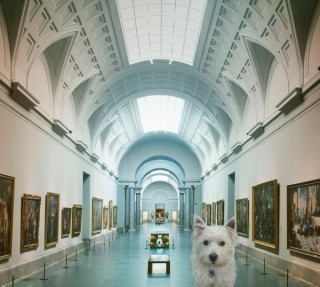 Ziggy visits ‘Portrait of Spain: Masterpieces from the Prado’