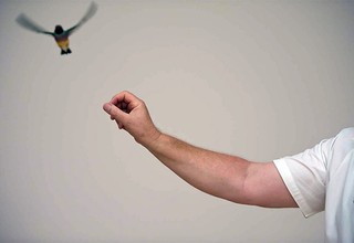 21st Century: Art in the First Decade installation process