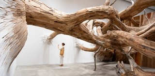 Henrique Oliveira, Brazil b.1973 / Corupira 2023, commissioned for ‘Fairy Tales’, Gallery of Modern Art (GOMA) Brisbane 2023-24 / Plywood, tapumes veneer and tree branches / © Henrique Oliveira