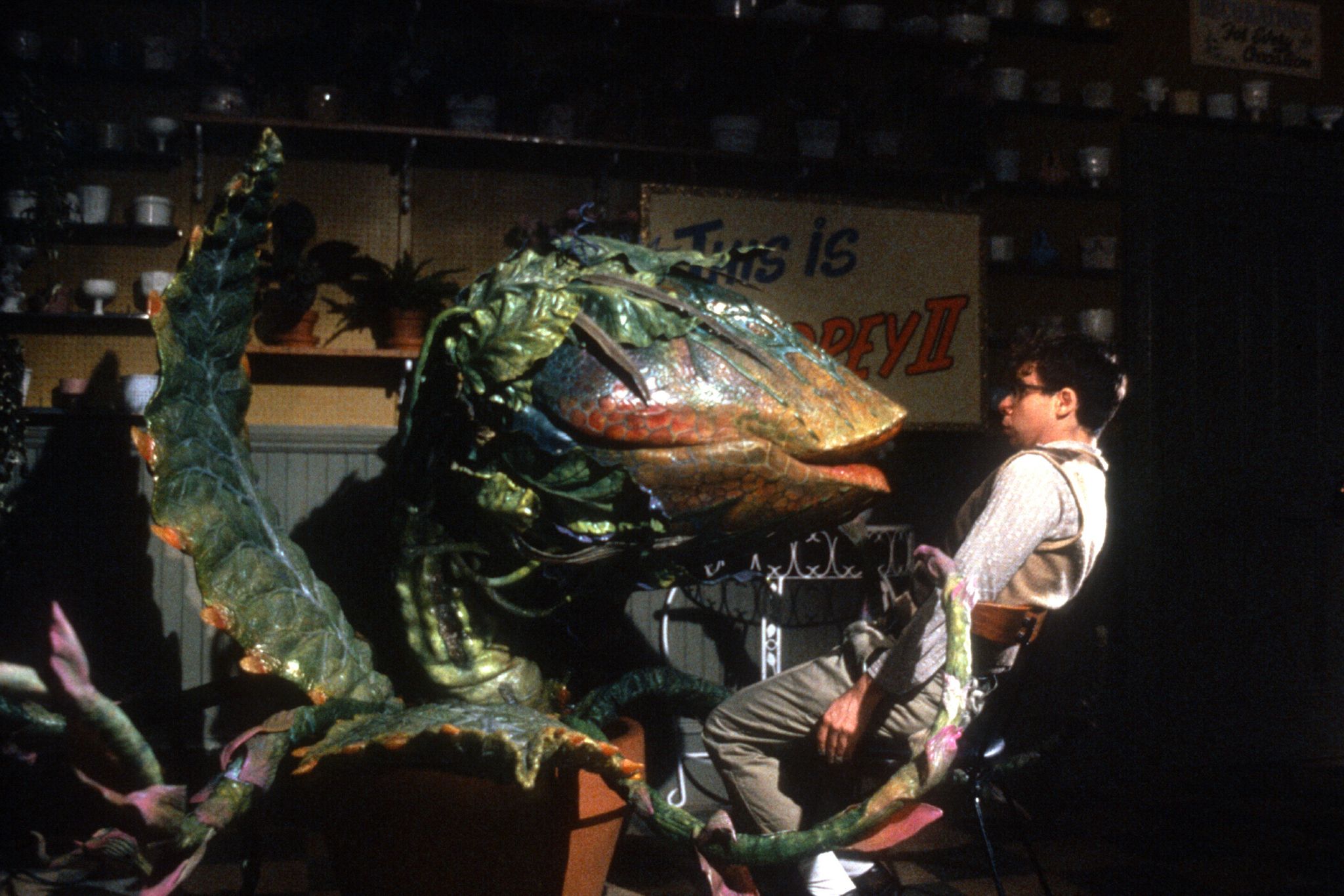 Production still from Little Shop of Horrors 1986 / Director: Frank Oz / Image courtesy: Roadshow Films
