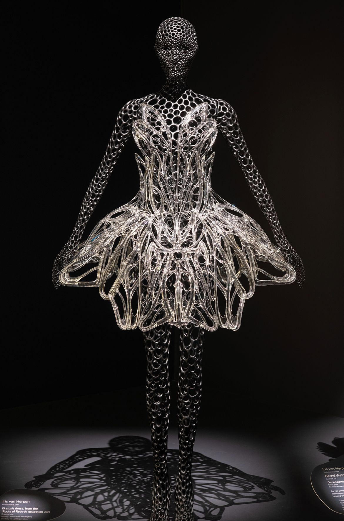 Iris van Herpen, Netherlands b.1984 / Bernd Weinmayer (Collaborator), Austria b.1971 / Dimensionism dress, special project 2020 installed in ‘Iris van Herpen: Sculpting the Senses’, GOMA 2024 / Simax glass / © Iris van Herpen atelier / Photograph: N Umek © QAGOMA