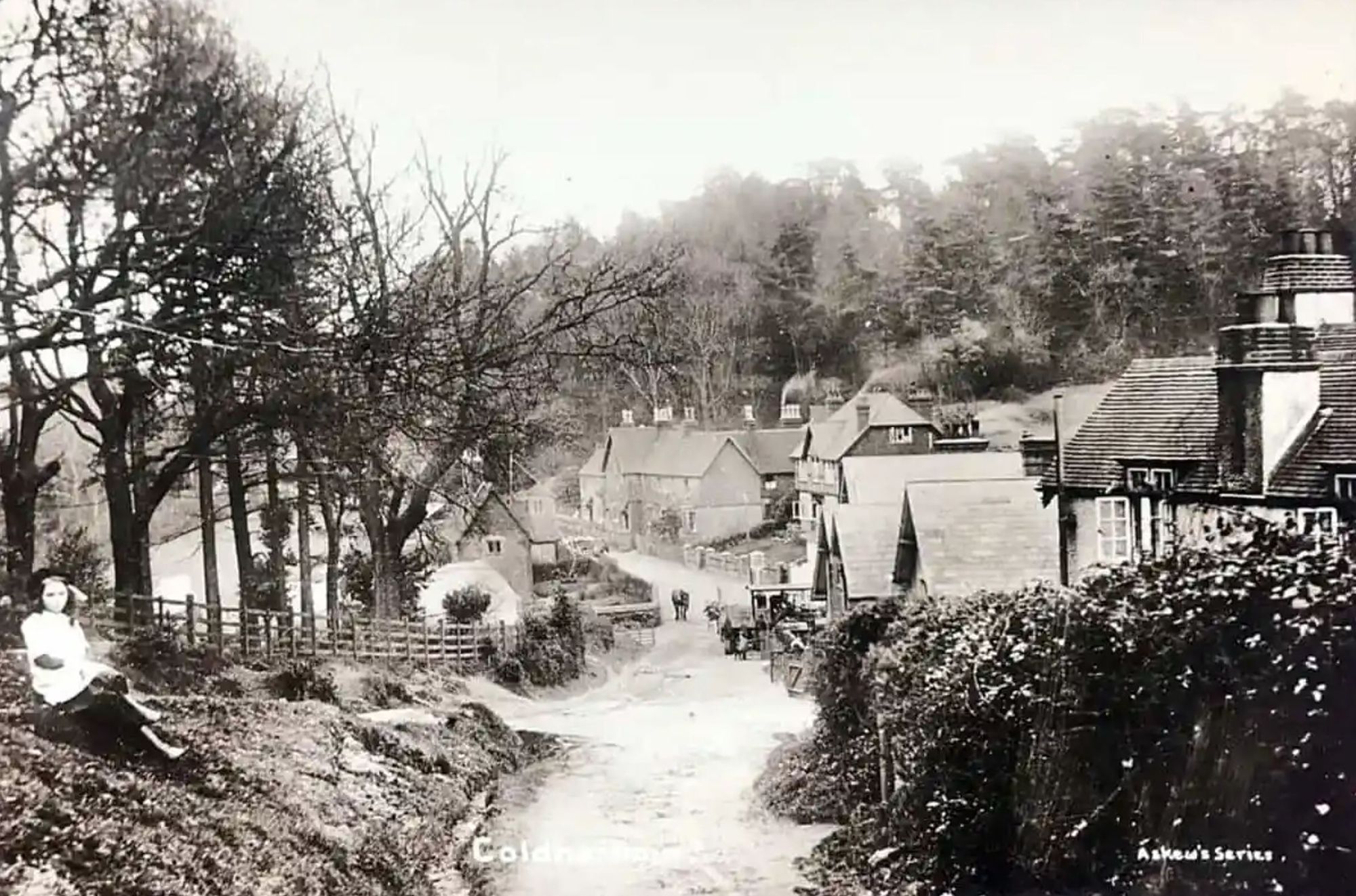 Coldharbour Village, Dorking Surrey, c.1900