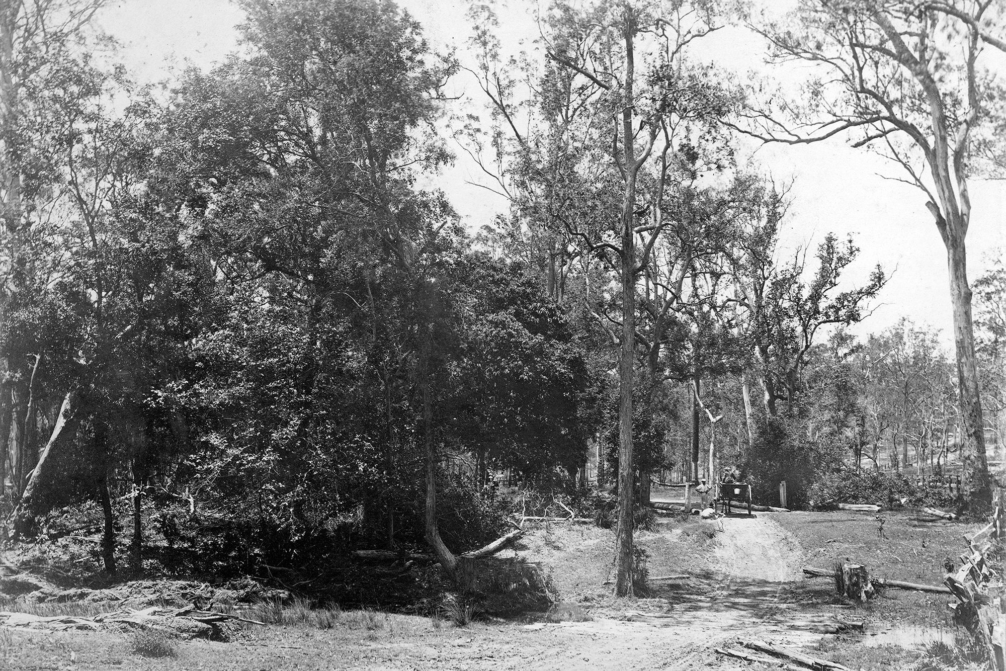 Scrubby Creek, Kingston, c.1870s / 99183880436702061 / Courtesy: John Oxley Library, State Library of Queensland, Brisbane