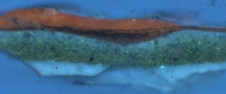 Under the jacaranda 1903 / Sample viewed with ultraviolet (UV) fluorescence.