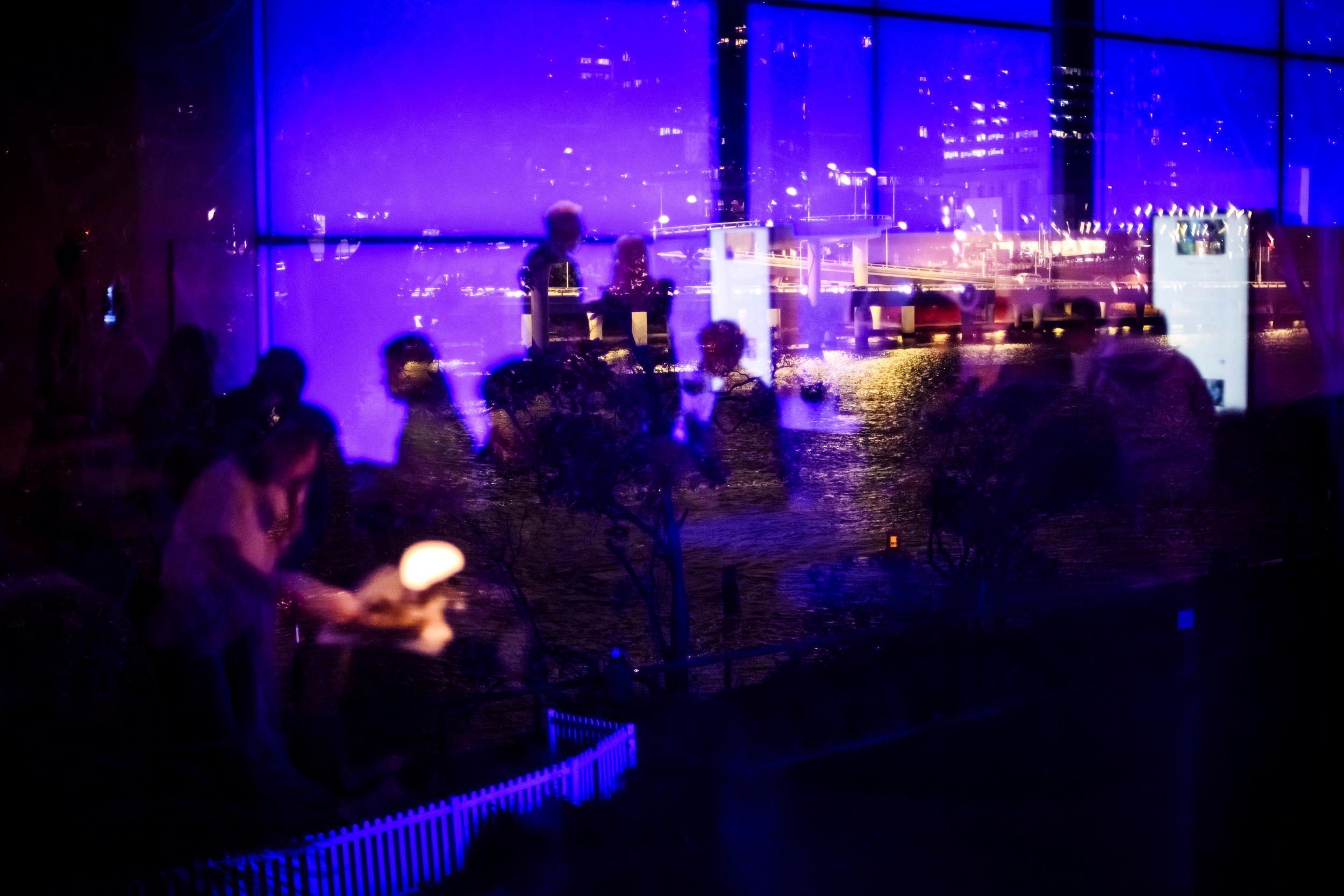 GOMA Friday Nights: Presence, May 2026 / Photography: M Bowden, QAGOMA