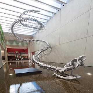Huang Yong Ping, China/France b.1954 / Ressort (installation view) 2012 / Aluminium, stainless steel / Commissioned 2012 with funds from Tim Fairfax AM through the Queensland Art Gallery Foundation / Collection: Queensland Art Gallery | Gallery of Modern Art / © Estate of Huang Yong Ping