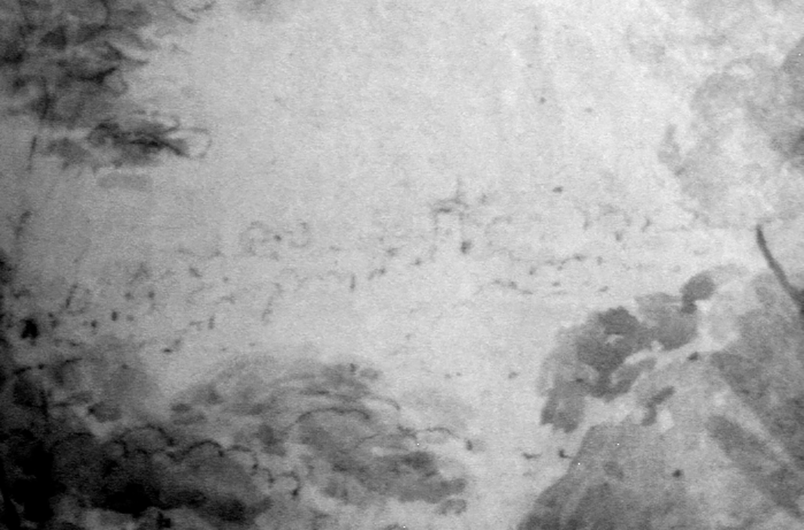 Infrared details showing drawing / Martens, Conrad, England/Australia 1801–78 / Brisbane c.1852 / Watercolour and gouache over pencil on wove paper / 17.1 x 25.1cm / Gift of the Queensland Museum 1910 / Collection: Queensland Art Gallery | Gallery of Modern Art