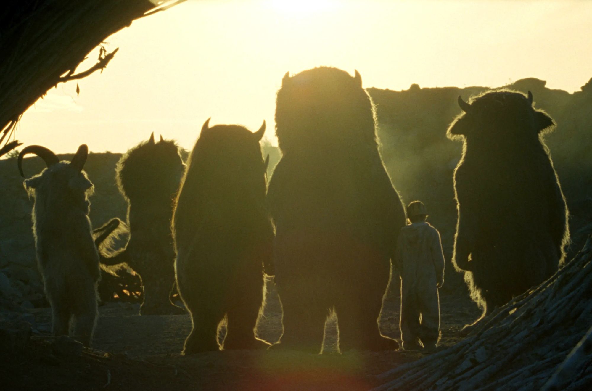 Production still from Where the Wild Things Are 2009 / Dir. Spike Jonze / Image courtesy: Roadshow Films
